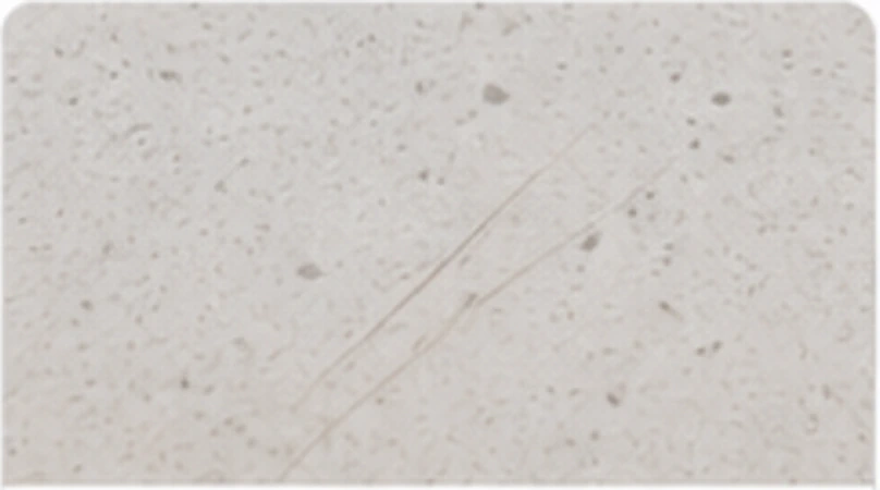 Scratches & surface marks example